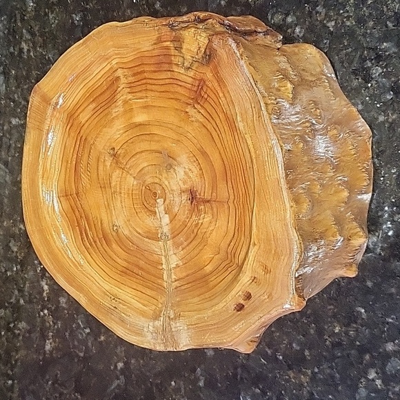 Large Hollow Carved Wood Stump Catchall Bowl Bin 8.5" Wide 5.5" Tall Burl Wood - Picture 3 of 6